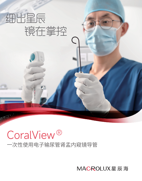 星辰海-一次性使用電子膀胱腎盂內(nèi)窺鏡導(dǎo)管